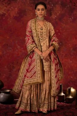 Simar Dugal Nude & Pink Hand Embroidered Sharara Set