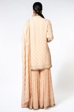 Nakul Sen Pink Sequin Embroidered Sharara Set 9 Nakul Sen Pink Sequin Embroidered Sharara Set -Deals Haute Togs Store 189ns3 4