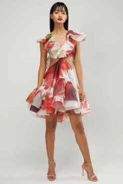 Gauri & Nainika Red Botanical Print Dress