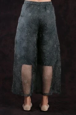 Printed Organza Pants -Deals Haute Togs Store int wf20 d1 17 3